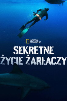 Sekretne życie żarłaczy