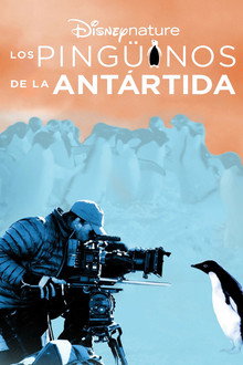 Los pingüinos de la Antártida