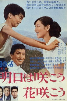 When the Flowers Bloom