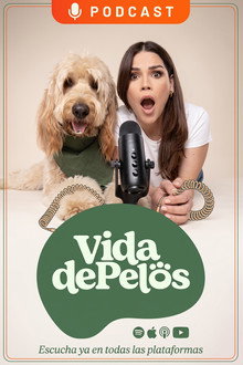 Vida de pelos