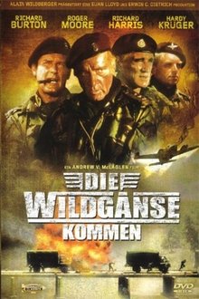 Die Wildgänse kommen