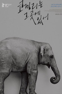 코끼리는 그곳에 있어