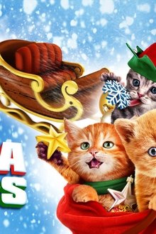 Golden-Winter-2---Die-Katzen-sind-los