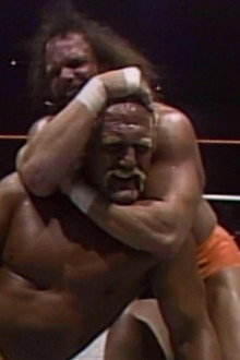 WWE World Tour '90