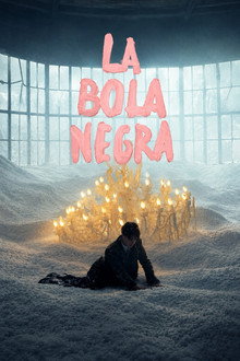 La bola negra