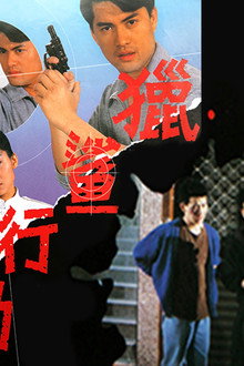 獵鯊行動
