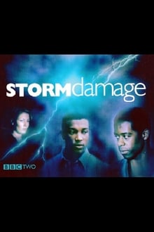 Poster do filme Storm Damage