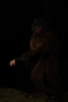 Bigfoot The Movie