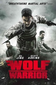 Poster do filme Wolf Warrior 3