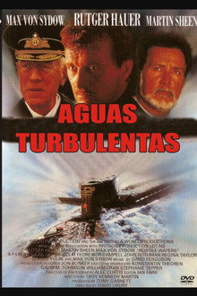 Aguas turbulentas