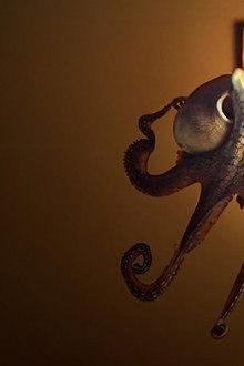 The Octopus in My House
