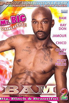 Bam: Big, Black & Beautiful 2
