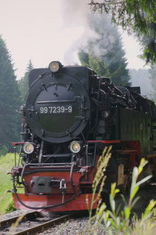 Secrets of the Railways