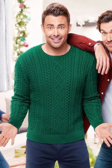 The Holiday Sitter