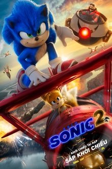 Nhím Sonic 2
