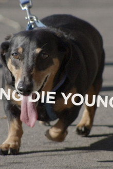 Live Long Die Young