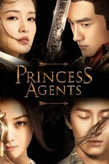 Poster da série Princess Agents