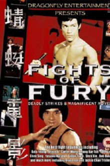 Fights of Fury