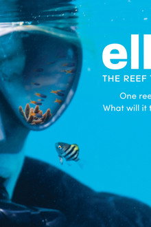 Ellison. The Reef That Saved Them All