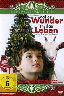 Voller Wunder ist das Leben