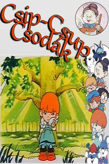 Csip-csup csodák
