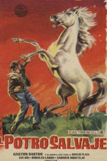 El potro salvaje