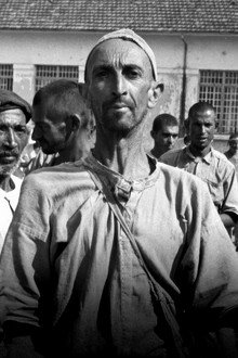 Brazilian Holocaust