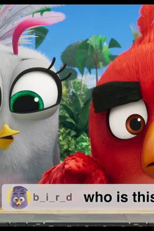 Angry Birds: Live Stream