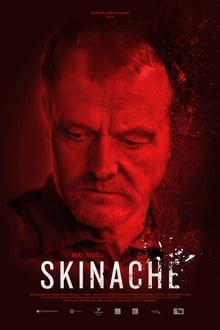 Poster do filme Skinache
