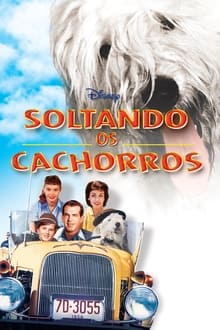 Poster do filme Felpudo, O Cão Feiticeiro