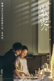 Poster da série 小敏家