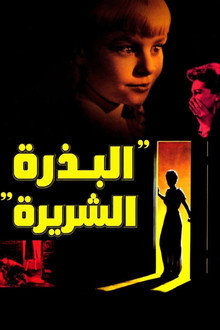 البذرة الشريرة