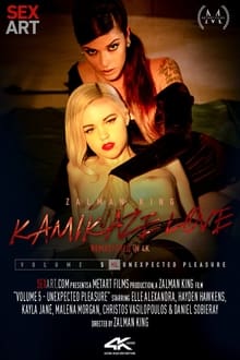 Poster do filme Kamikaze Love Volume 5 - Unexpected Pleasure