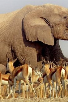 Africa