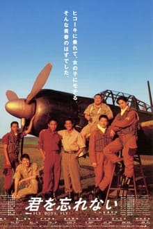 Poster do filme Fly Boys, Fly!