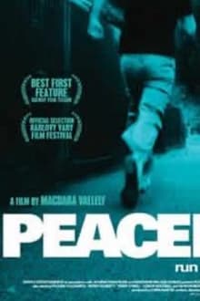 Poster do filme Peacefire