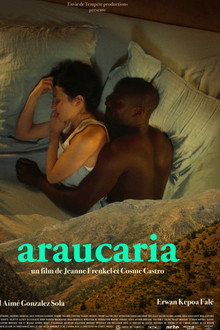 Araucaria