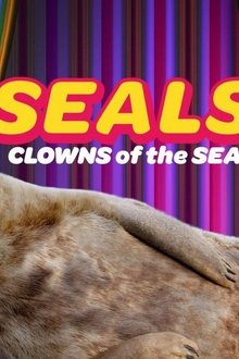 Seals---Clowns-of-the-Sea