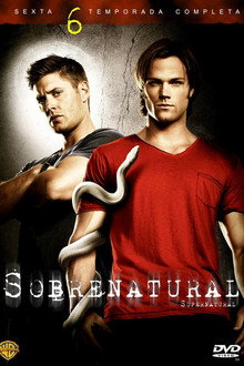 Temporada 6