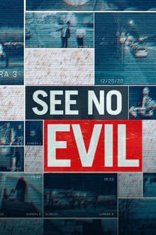 Poster da série See No Evil