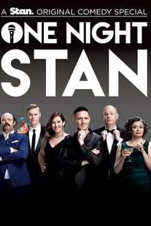 Poster da série One Night Stan