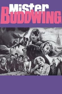 Poster do filme Mister Buddwing