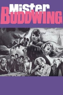 Poster do filme Mister Buddwing