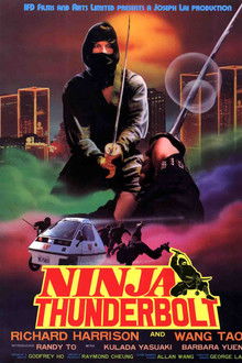 Ninja Thunderbolt