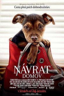 Návrat domov
