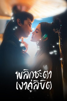 พลิกชะตาเงาคู่ลิขิต