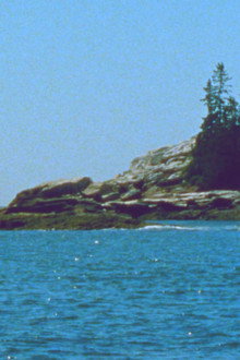 The Seashore