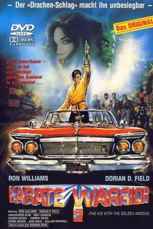 Karate Warrior 3