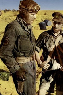 Sahara: Em Busca da Sobrevivência