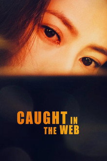 Caught in the Web